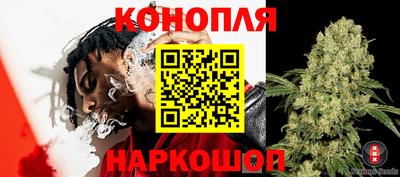 PSILOCYBIN Дубна